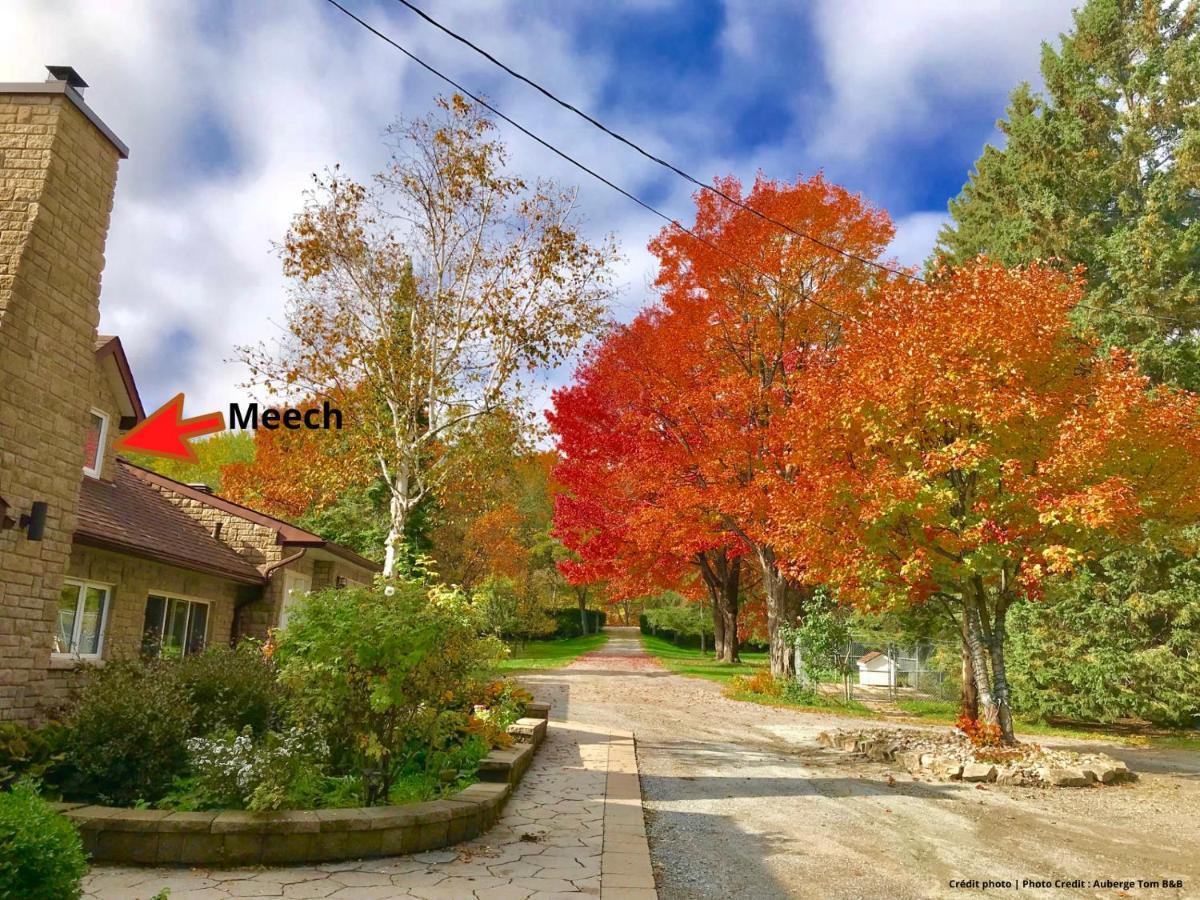 Chelsea Auberge Tom B&B מראה חיצוני תמונה